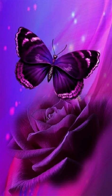 Butterfly Purple Hd Phone Wallpaper Peakpx