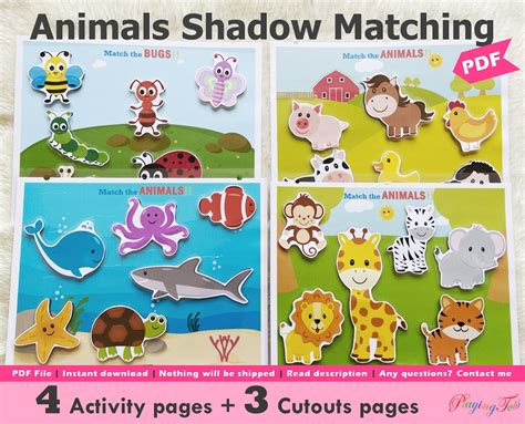 Animals Shadow Matching Activity Printable Bugs Silhouette Toddler