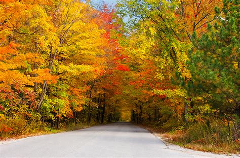 Best Things To Do In The Smoky Mountains In The Fall Smoky Mountains