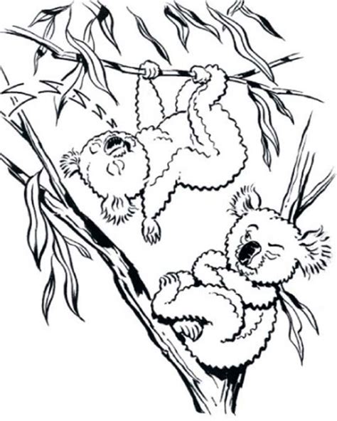 Koala bear to color coloring home. Australian Safari With Koala Coloring Page : Coloring Sky