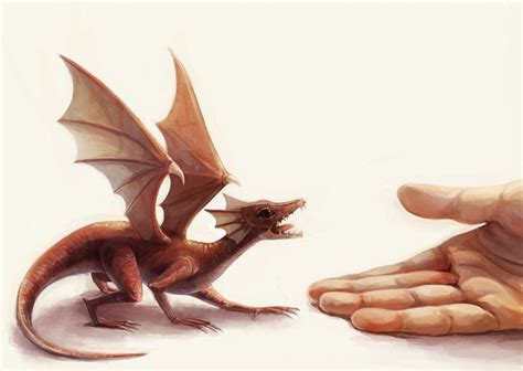 Small Dragon By ~akanetonbo On Deviantart Creature Concept Creature