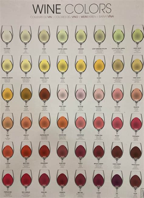 Wine Tasting Colour Chart By Studio Story Ubicaciondepersonascdmxgobmx