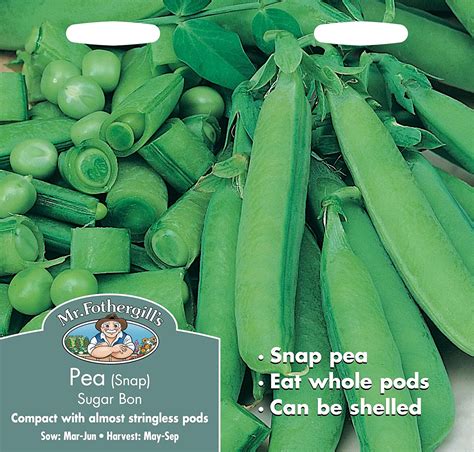 Mr Fothergills Pictorial Packet Vegetable Snap Pea Sugar Bon 300 Seeds Uk