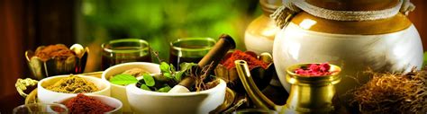 Is your hair feeling limp and listless? Ayurveda Spa and Yoga Tours India - Ayurvedic Treatment