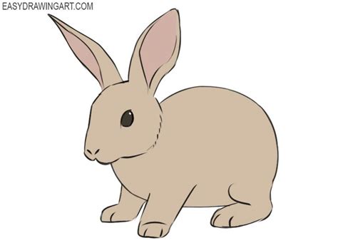 How To Draw A Rabbit Easy Drawing Art Rabbit Drawing Easy Hare