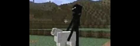 225 Best Enderman Images On Pholder Minecraft Memes Mcpe And Hypixel