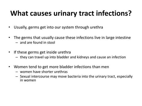 Ppt Urinary Tract Infection Uti Powerpoint Presentation Id2101184