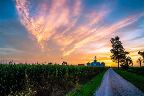 Kentucky Corn Field Owensboro Kentucky My Landscape Photography