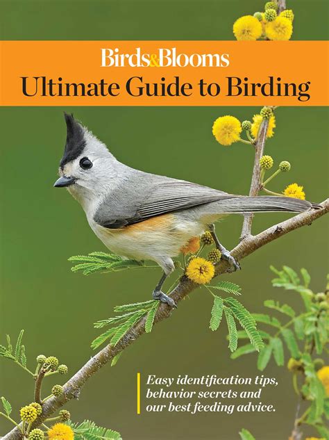 Birds Blooms Ultimate Guide To Birding Book By Editors At Birds And