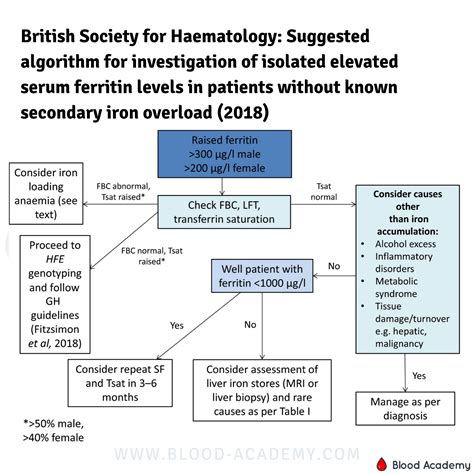 Investigation And Management Of A Raised Serum Ferritin Blood Academy