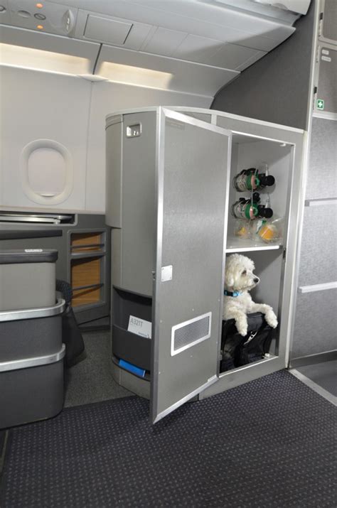 Los angeles international airport (lax) is the eleventh busiest cargo airport in the world, handling more than 2 million tons of origination and destination air cargo in 2006. American Airlines' New First Class Pet Cabins - Fly&Dine