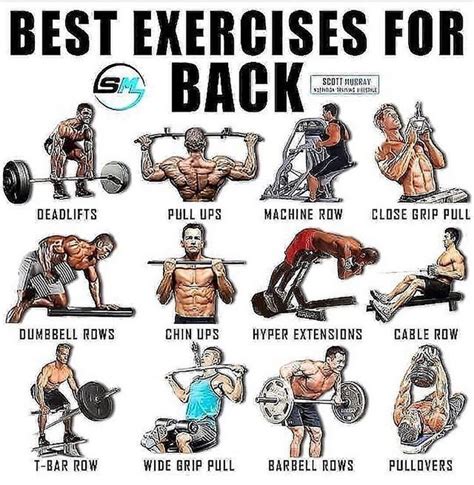 Best Back Exercises Good Back Workouts Back Exercises Back Workout