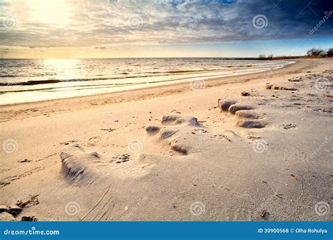 Sunny Sand Beach Before Sunset Stock Photo Image Of Outside Ocean