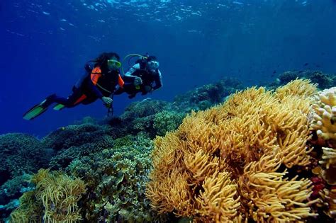 Bunaken Oasis Dive Resort And Spa Diverse Travel