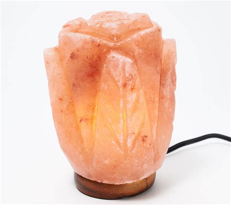 Pin By Mary Christian On Christmas Himalayan Salt Crystals Flower Lamp Salt Crystal