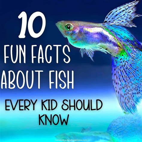 10 Fun Facts About Fish Free Fish Fact Worksheet