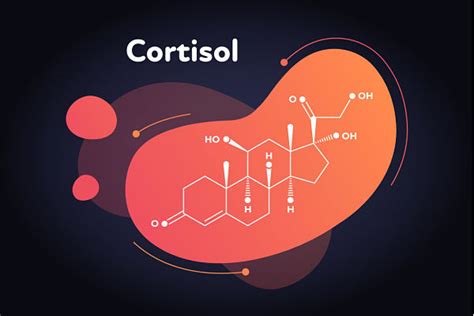 Why Is Cortisol Known As The Stress Hormone