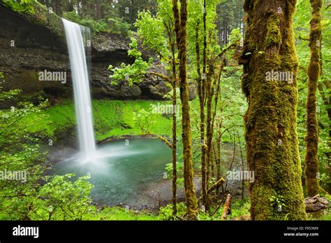 The South Falls In The Silver Falls State Park Oregon Usa Stock Photo