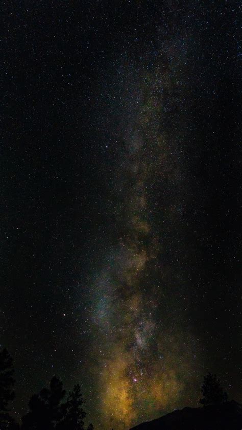 Download Wallpaper 800x1420 Starry Sky Night Milky Way