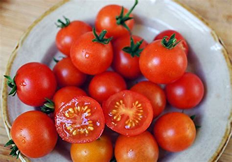 Harley Seeds 30 Dwarf Red Robin Tomato Seeds Heirloom Non Gmo Sweet