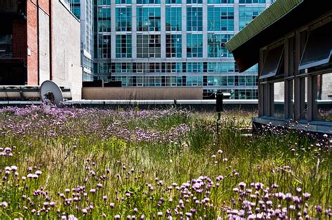 Green Roof Bylaw Set to Take Effect in Toronto