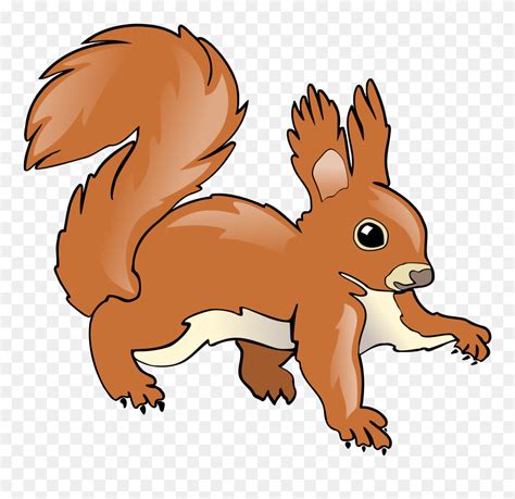 Thumb Image Red Squirrel Clipart Png Download 5195828 Pinclipart