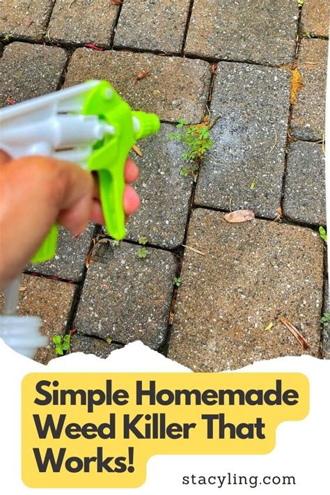 Simple Recipe For Homemade Weed Killer That Works Hometalk