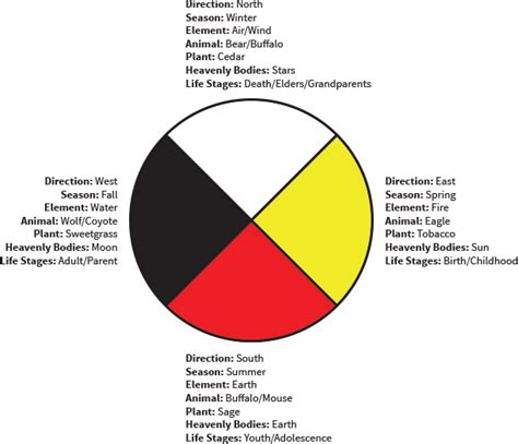 The Medicine Wheel Accent Environments