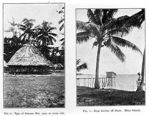 Samoan Hut And Drop Latrine Off Shore Ellice Islands Free Public