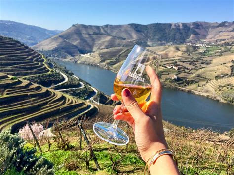 porto private wine tours in douro visit douro today