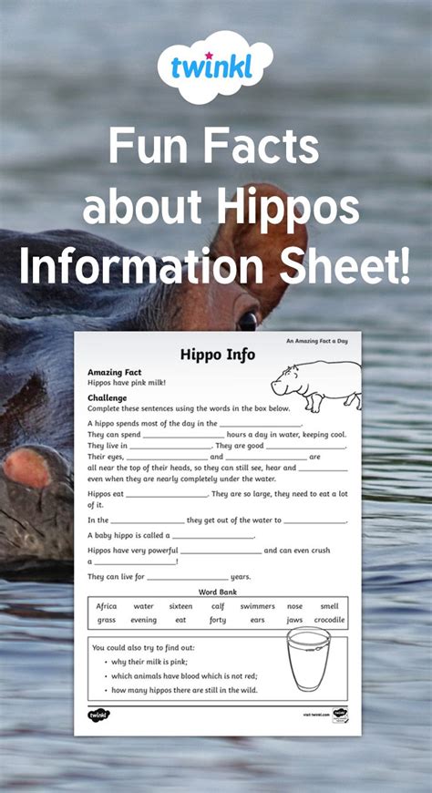 Fun Facts About Hippos Information Sheet Hippo Facts Fun Facts