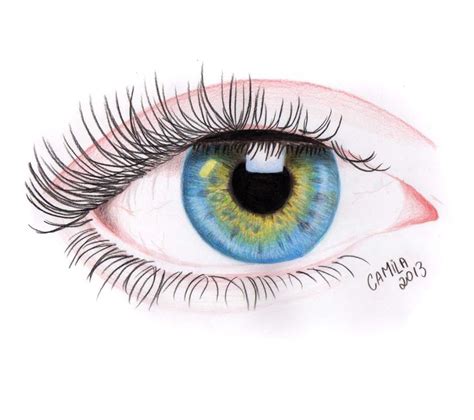 Resultado De Imagem Para Desenhos Realistas De Olhos Olhos Coloridos