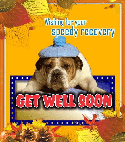 A Speedy Recovery Free Get Well Soon Ecards Greeting Cards 123 Greetings