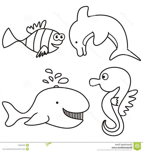 Water Animals Drawing At Explore Collection Of