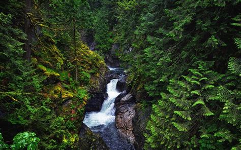 Download Wallpapers Mountain River Waterfall Rocks Forest Green