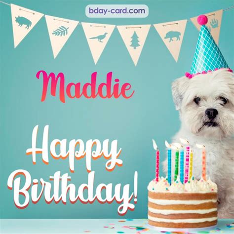 Birthday Images For Maddie 💐 — Free Happy Bday Pictures And Photos