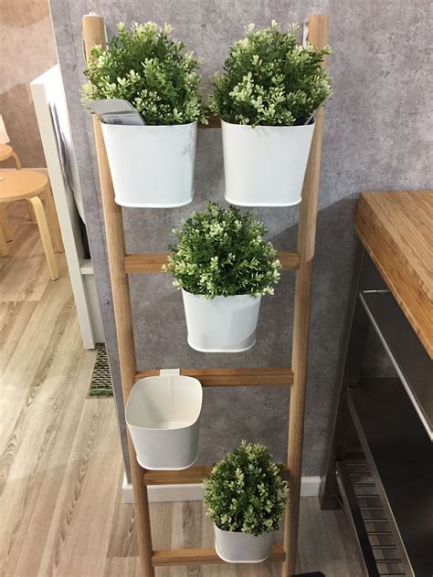 Ikea Ladder Satsumas And Herb Pot Stand House Plants Decor Bamboo