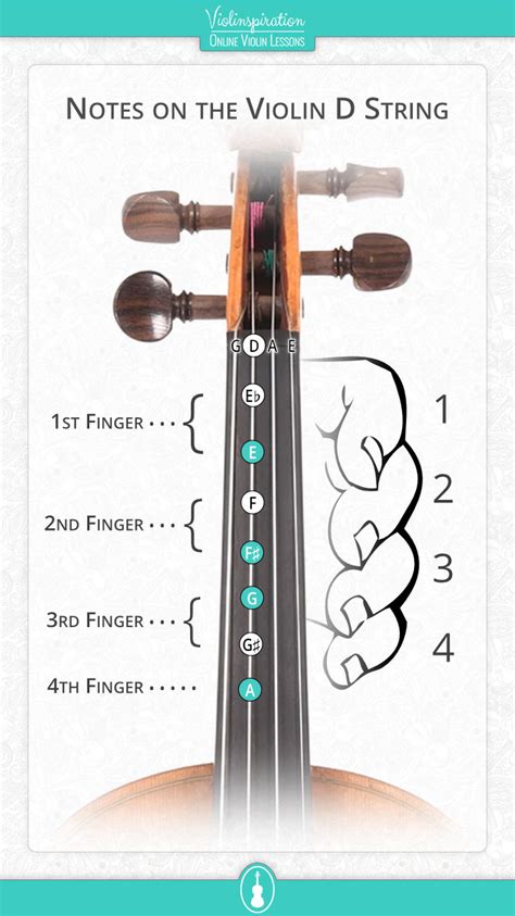 Violin D String Notes