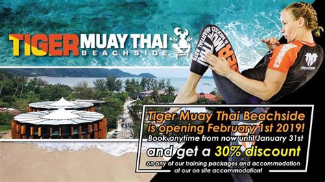 tiger muay thai beachside our beautiful 2nd gym located next to chalong beach is opening on