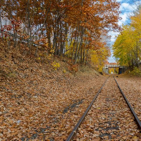 Train Rides For Fall Season Scenic Train Rides Fall Road Trip Scenic