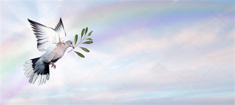 Dove Of Peace Stock Photo By ©bolina 74385517