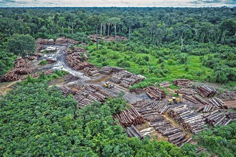 brazil s carbon emissions rising because of amazon deforestation latin america reports