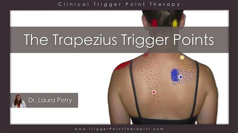 Trigger Point Video For Trapezius Muscle
