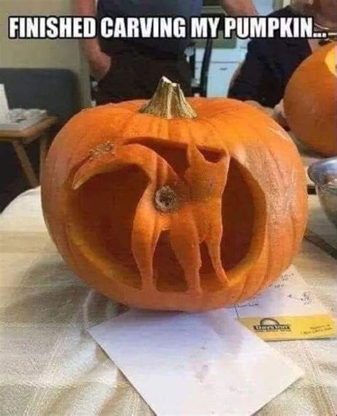 24 Perfect Memes For Having A Good Time Funny Gallery Funny Pumpkin