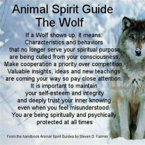 Pin By Laurie Spencer On Wolves Animal Spirit Guides Wolf Spirit