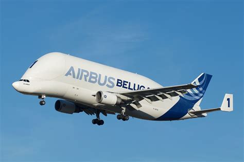 The beluga was designed to carry parts of airbus aircraft around the globe to positions of multiple final assembly lines. Airbus A300-600ST Beluga - Wikipedia, la enciclopedia libre