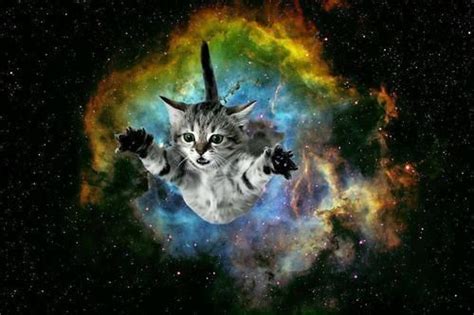 Cat Bursting From Galaxy Background Space Cat Galaxy Cat Cats