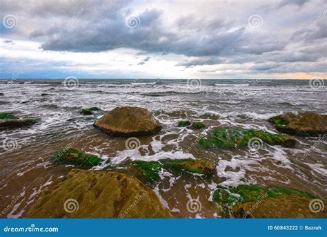 Seascape Rocks On Seashore Stock Photo Image Of Evening Coastline