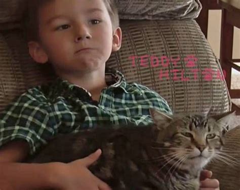 Meet Tara The Hero Cat Who Saved Her Young Human Brother From A