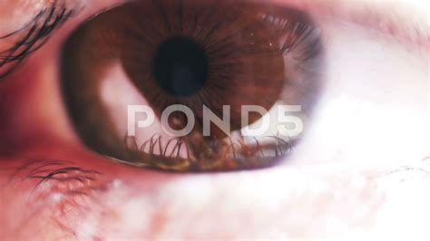 Close up brown eye in macro Stock Footage,#eye#brown#Close#Footage | Brown eyes, Close up, Eyes